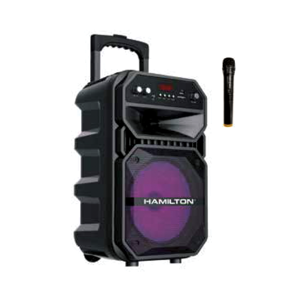 Hamilton 8 inch speaker system - HT6604