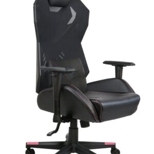 Epic Gamers Gaming Chair Model 2 - Black/Pink
