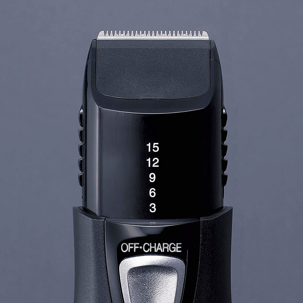 Panasonic ER-2405 Portable Hair and Beard Trimmer - Black